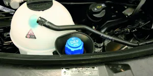 rhp_ad blue