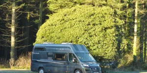 HeaderDSC_0160-67501