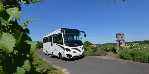 Morelo-1-82205