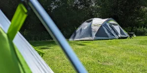 Coleman Darwin 4+ (Picture by Iain Duff)