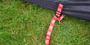 Straps