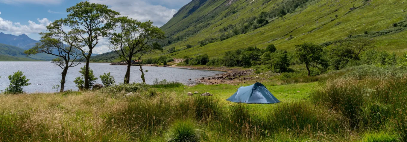 Camping on Out & About Live