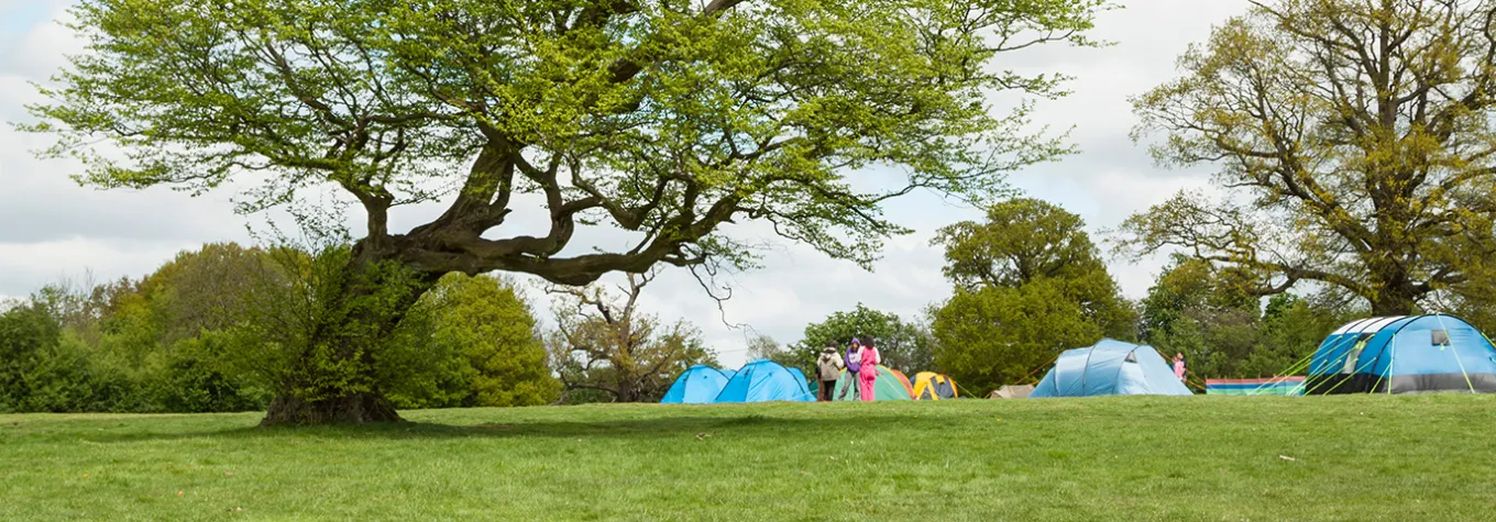 Camping in green field