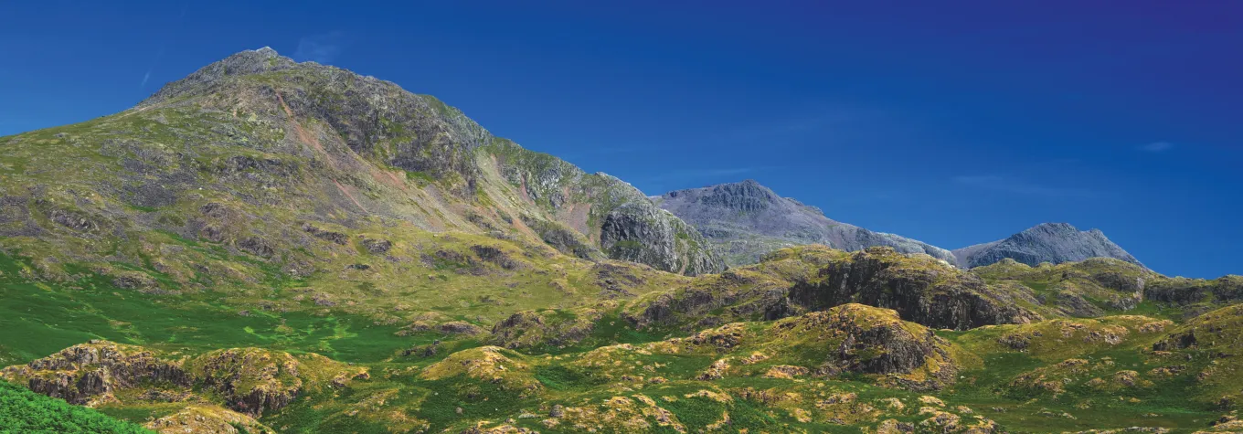 Wild camping hero image
