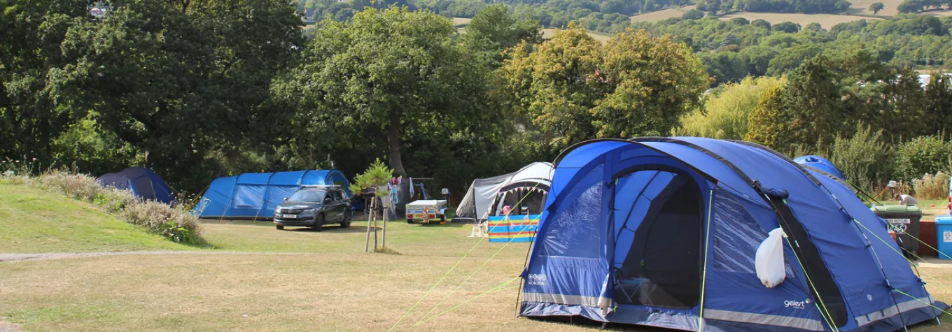 Dorset campsite