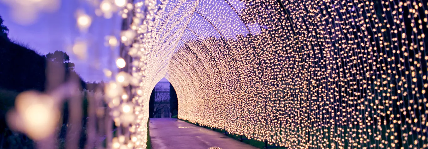 Christmas light tunnel