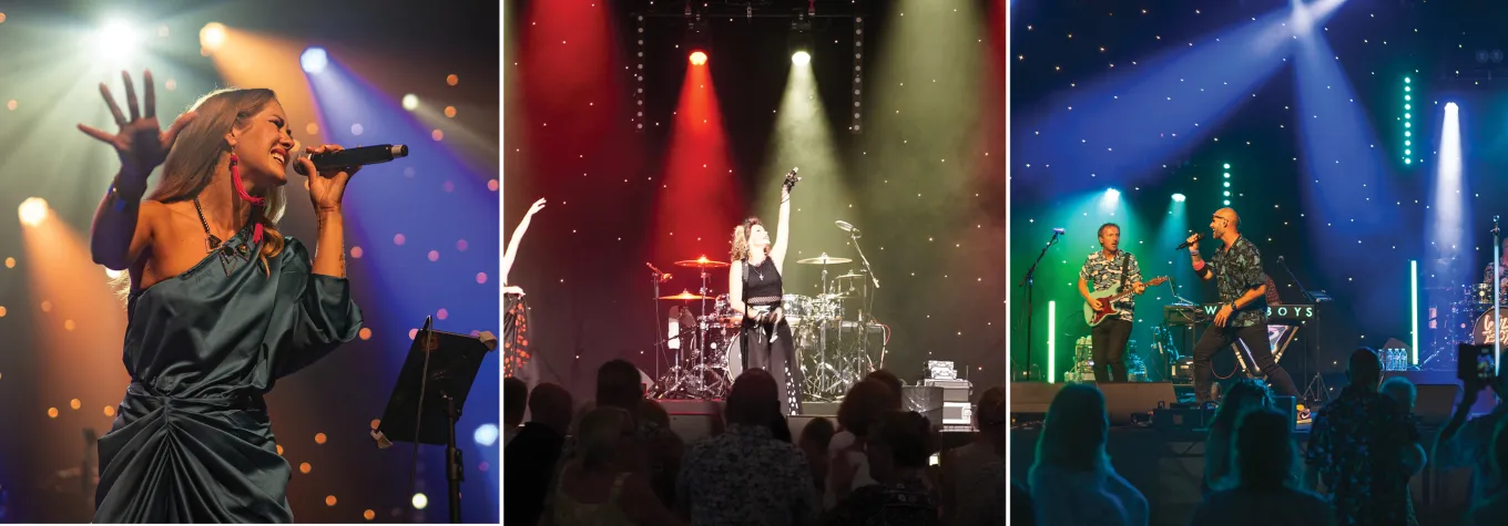 Entertainment hero image for Newbury show