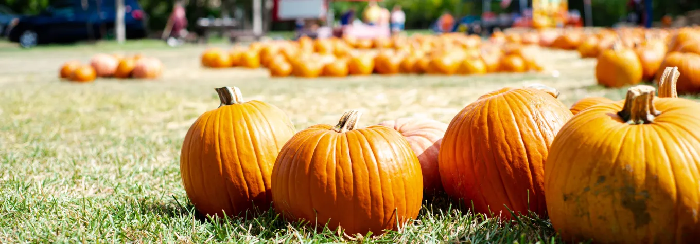 Pumpkins in a village