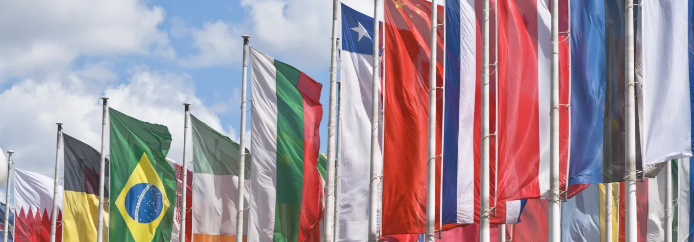 A row of flags from across the globe