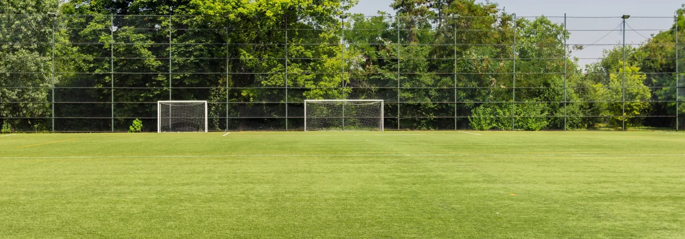 Football playground field with gates and net surrounded by trees somewhere in nature