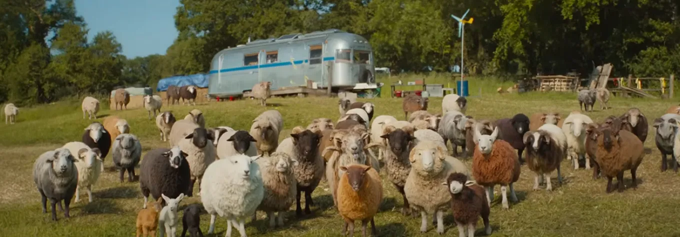 The Sheep Detectives starring Hugh Jackman