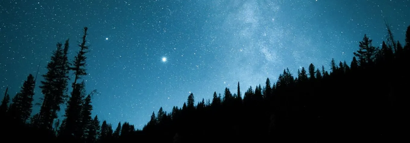 Starry Sky