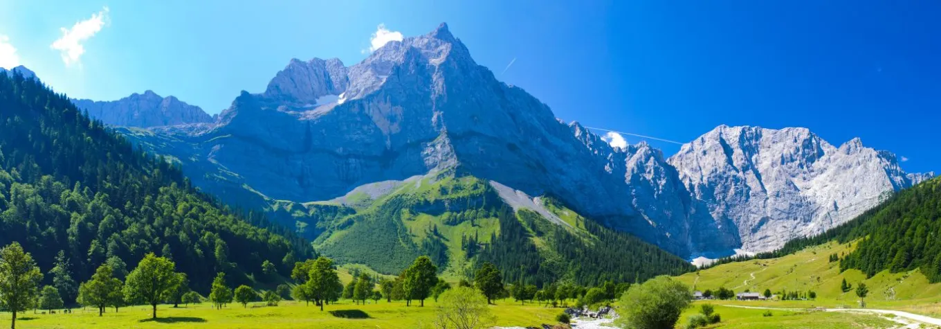 Alpine Scene