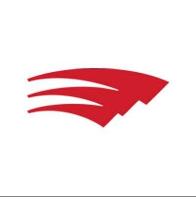 Roller Team logo