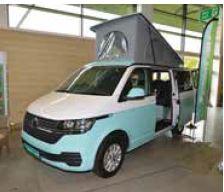 Thistle Rose VW T6.1