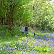 Adults-only campsites