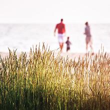 Family-friendly campsites