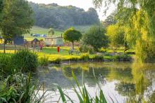 An adventure awaits at Swiss Farm