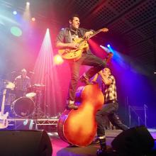 The Houndogs at The Norfolk Motorhome & Campervan Show 2026