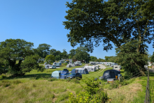 Heligan Caravan & Camping