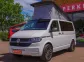 CamperKing Le Mans T6.1 2024