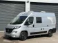 Rapido Dreamer D42 FUN 2019
