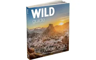 Wild Guide Morocco front cover