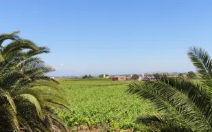 Vinya els Vilars campsite in Spain