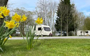 Long Acres Touring Park