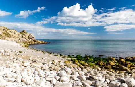 Photo courtesy of Beach Guide