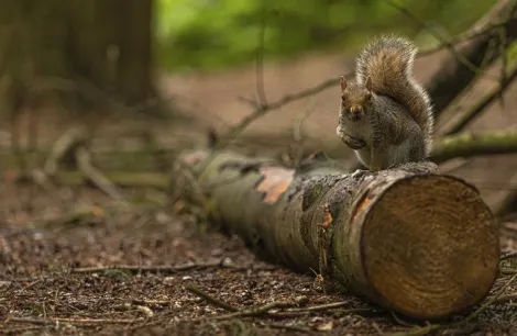 Photo courtesy of Itchen Valley