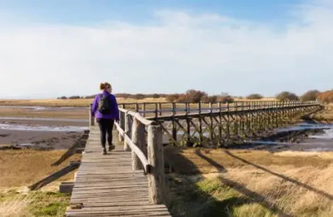 Photo courtesy of Visit east lothian