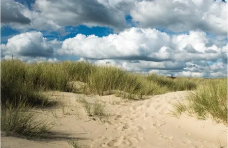 Stutland Bay in Dorset