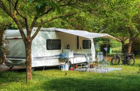 A caravan in the woods
