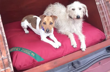 Tuffies tailor-made services can create dogs beds to exactly fit the available space