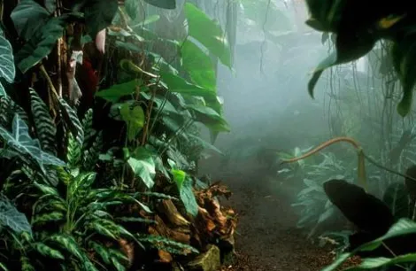 The Living Rainforest inside
