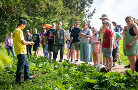 Foraging at Campervan Campout