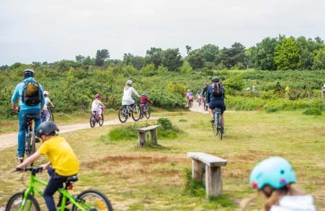 Kelling Heath Holiday Park