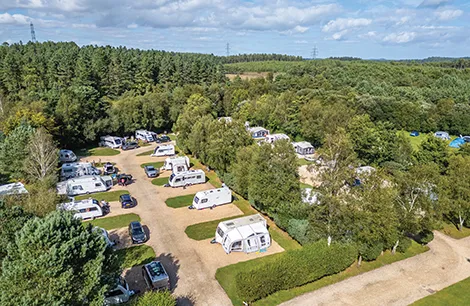 Wareham Forest Tourist Park