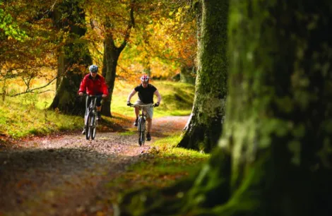 Cycling