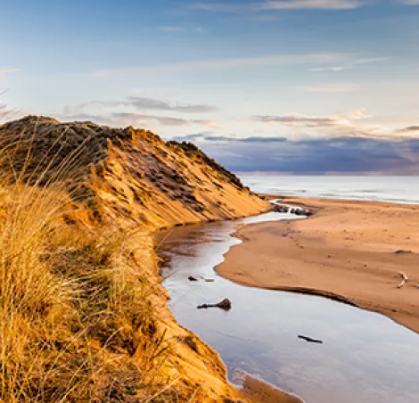 Balmedie Beach on the NE250