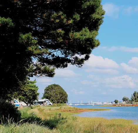 Fishery Creek