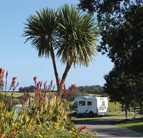 Heligan