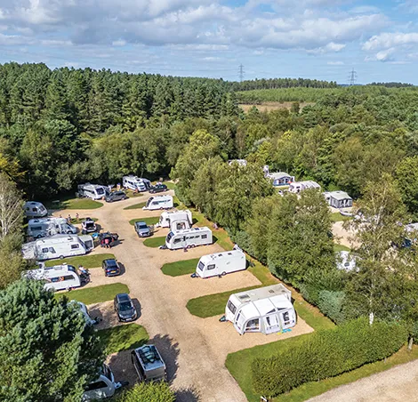 Wareham Forest
