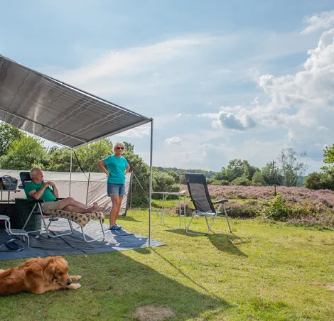 Camping New Forest