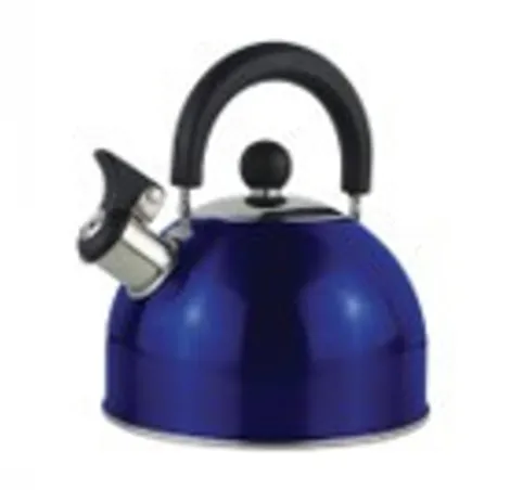 Stainless steel kettle