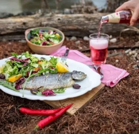 Grilled trout with summer salad