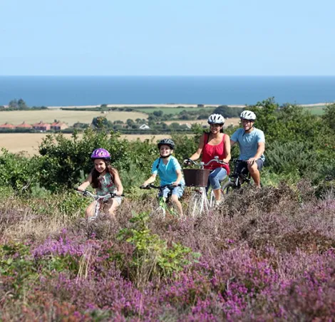 a family cycling by a nearby coast