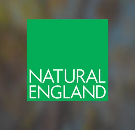 natural england logo