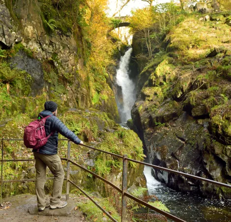 Male tourist enjoying famous Aira Force waterfall on Aira Beck stream, located in the Lake District, Cumbria, UK.